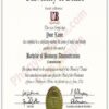 Buy Professorship Honorary Degree From the Central America Health Sciences University, Belize Medical College