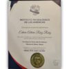 Buy Professorship Honorary Degree from the Instituto Tecnológico de Santo Domingo