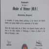 Diplom Birla Institute of Technology and Science