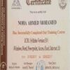 Buy Bachelors Degree from The Ain Shams University