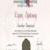 Buy Transcript Certificate from the Anadolu Üniversitesi