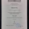 Buy Professorship Honorary Degree from the Budapesti Muszaki és Gazdaságtudományi Egyetem