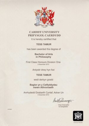 Buy college degree from the Cardiff University
