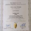 Buy Transcript Certificate from the Çukurova Üniversitesi