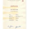 Buy Professorship Honorary Degree from The Danmarks Tekniske Universitet