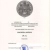 Buy Transcript Certificate from the Ruprecht-Karls-Universität Heidelberg