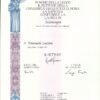 Buy Professorship Honorary degree from the Sapienza Università di Roma