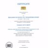 Buy Transcript Certificate from the Technische Universität München