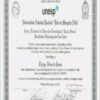 Buy Transcript Certificate from the Universidade Estadual Paulista