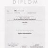 Buy Transcript Certificate from the Universität Leipzig