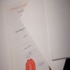 Buy Professorship Honorary Degree from The Universitetet i Bergen