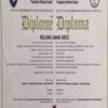 Buy college degree from the Universiteti i Prishtinës