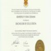 Buy Transcript Certificate from The University of Calgary