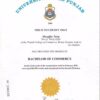 Buy Diplom Degree from the University of the Punjab