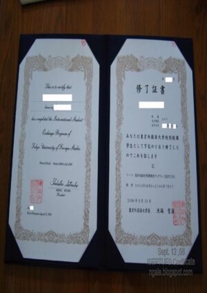 Buy college degree from The University of Tokyo