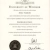 Buy Professorship Honorary Degree from The University of Windsor