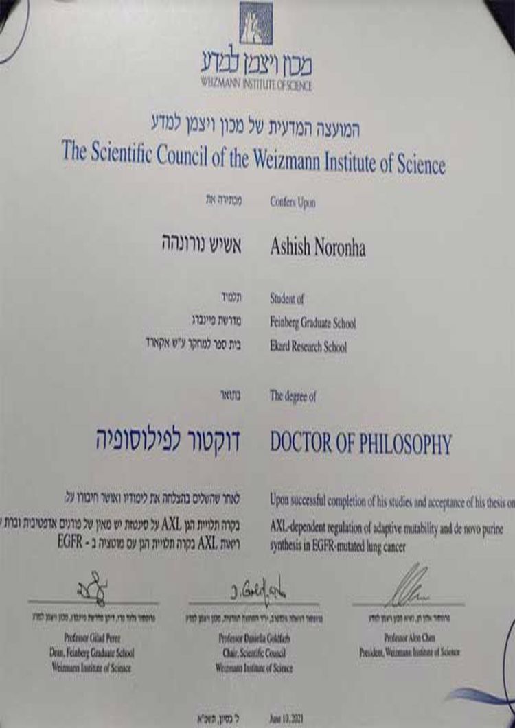 buy-college-degree-from-the-weizmann-institute-of-science Buy college degree from the Weizmann Institute of Science